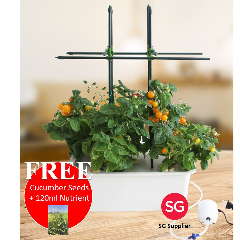 READY STOCK] 5 Hole Indoor Hydroponics Garden Kit with Trellis.  Complimentary cucumber seeds & fertilizers | Shopee Singapore