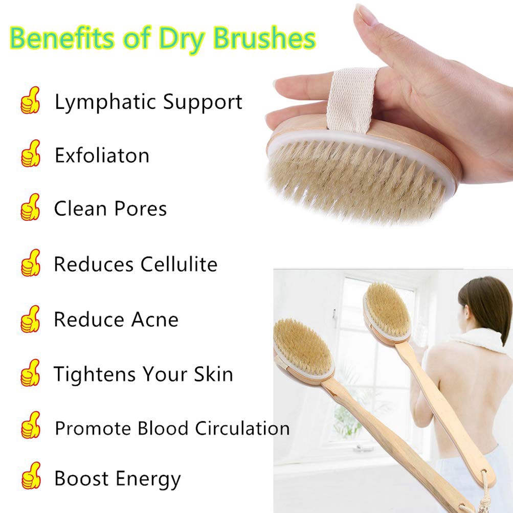natural bristle body brush