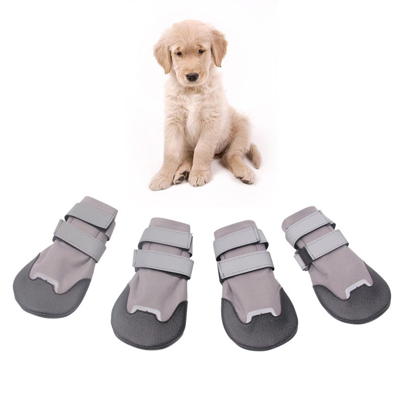 dog shoes shopee