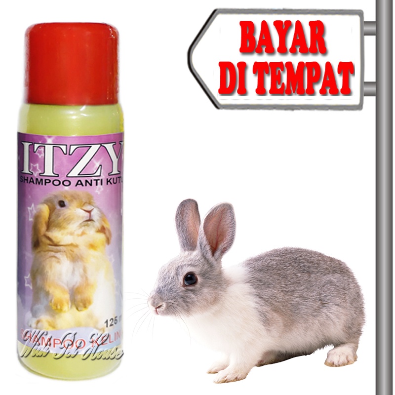 SAMPO Antilice Shampoo Rabbit Eliminate Parasite Shampoo Itzy Shopee