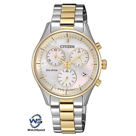 citizen eco drive two tone