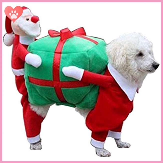 dog christmas clothes