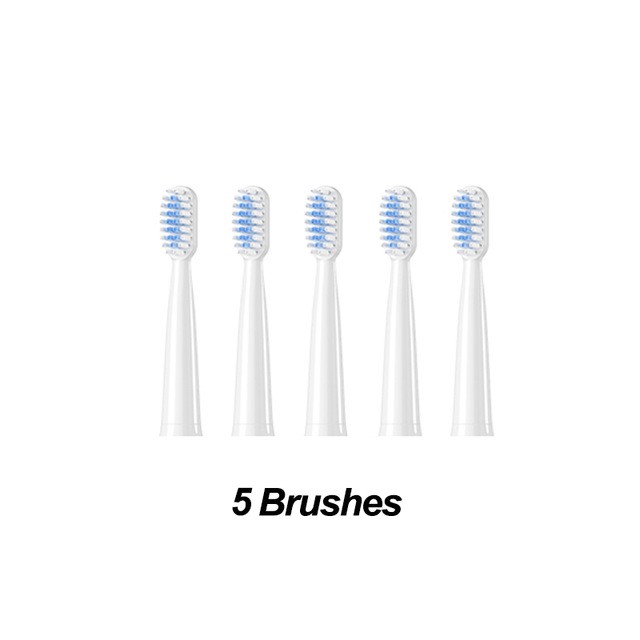 ortho brush for braces online
