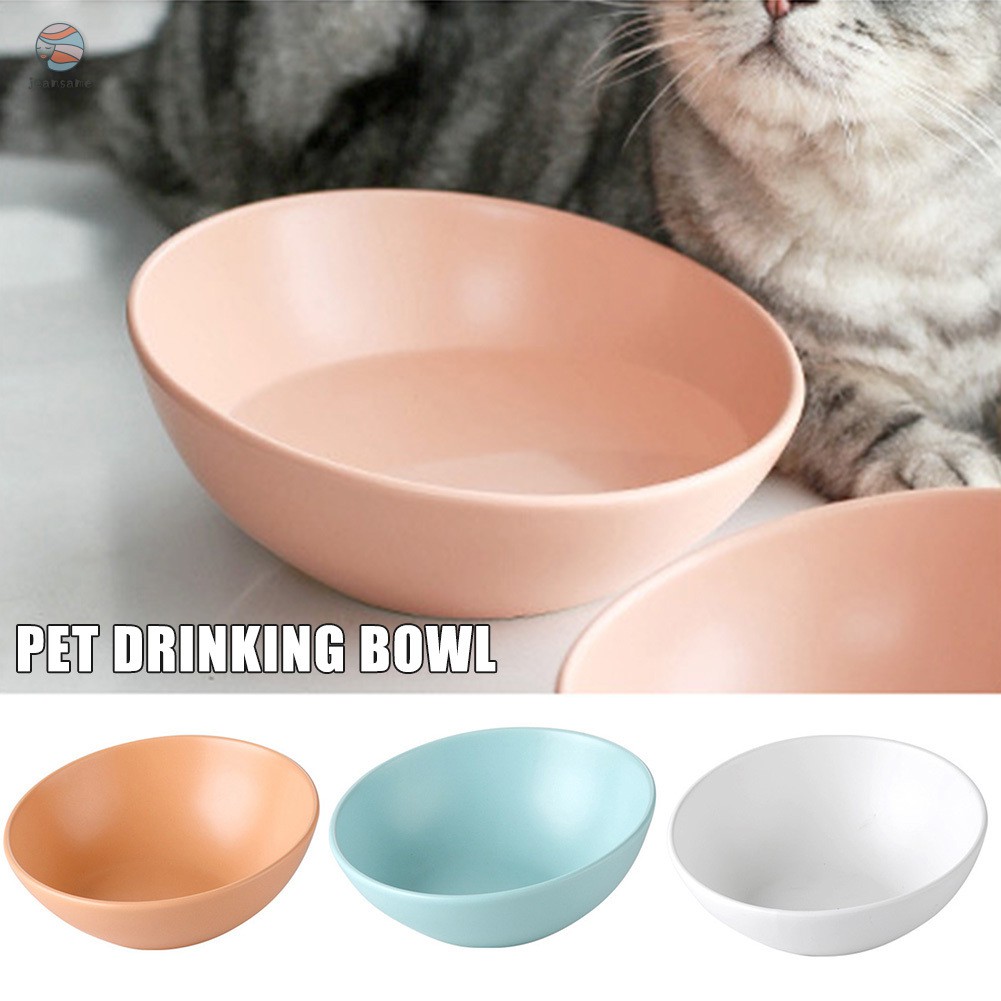 dog water bowl ceramic