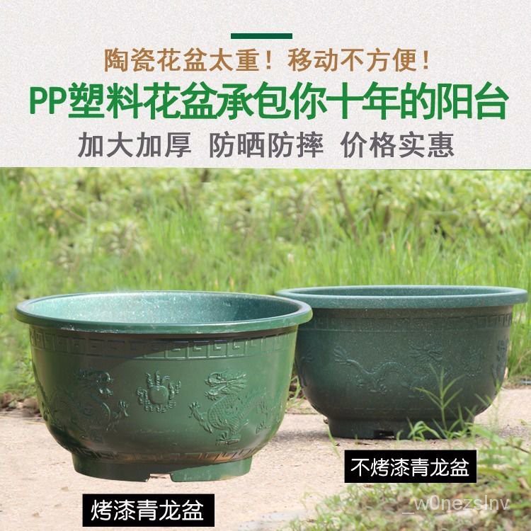 花盆塑料大号特大号特价盆景盆栽加厚种树盆龙缸盆送托盘7月7日发完 Shopee Singapore