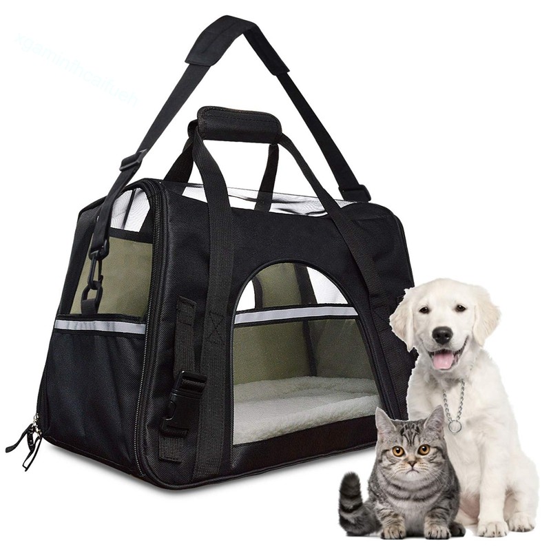 airline animal carrier