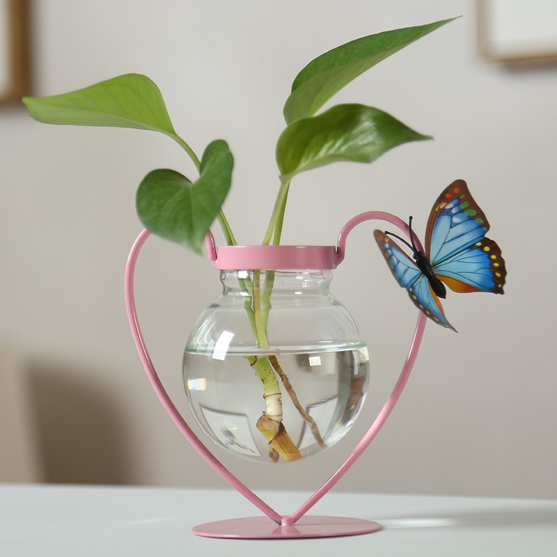 🎉The Nordic idea contracted other hydroponics vessel aquatic plant vase