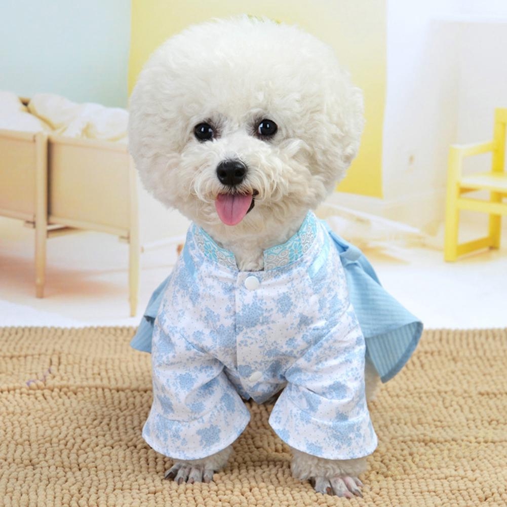 pet dog dress