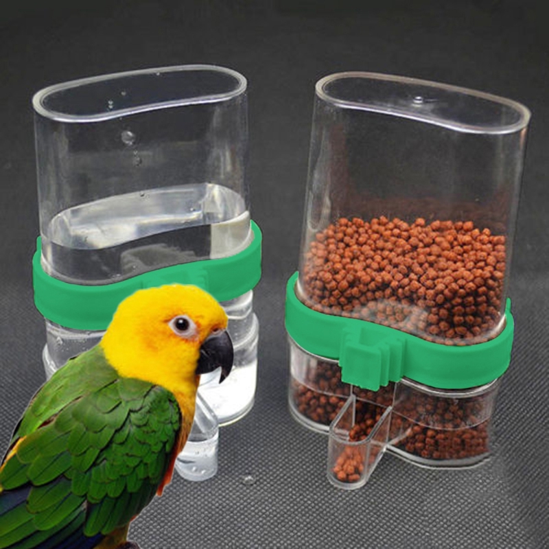 Plastic Automatic Bird Feeder Parrot Cockatiel Canary Water Feeder
