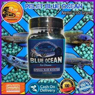 Blue Ocean channa Feed 100 Grams