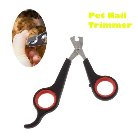 animal nail trimmer