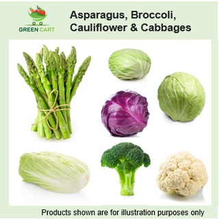 [Greencartsg] Fresh Vegetables – Asparagus, Broccoli, Cauliflower and Cabbages