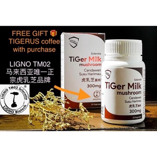 Image of 60 capsules Highest Content 300 mg Ligno TM02 SHIELD Pure Tiger Milk Mushroom 虎乳芝茵核 READY STOCK