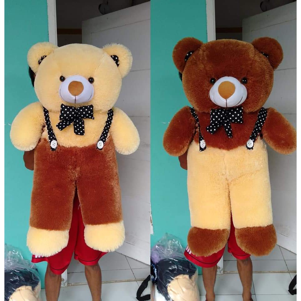 big teddy bear with chocolate