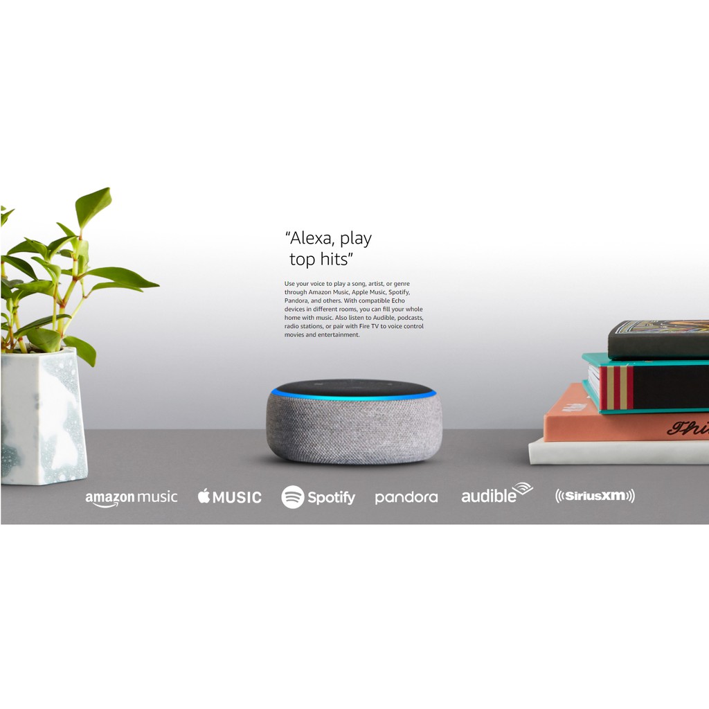 alexa whole home music