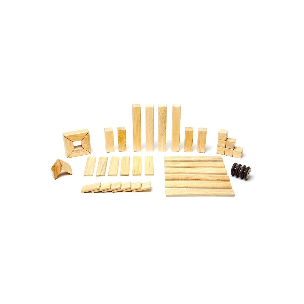 tegu 42 piece set