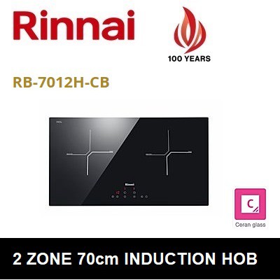 Schott ceran induction manual