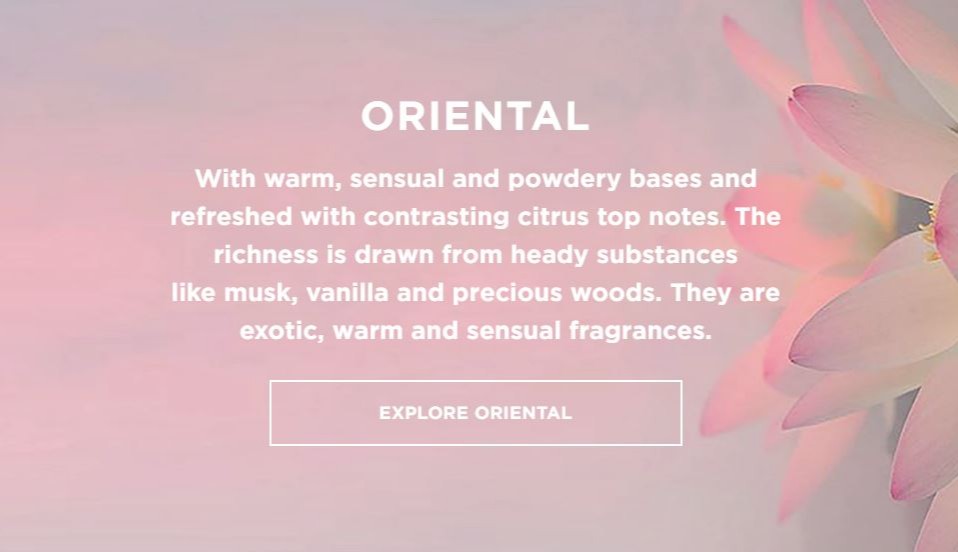 Ecoya Official Store, Online Shop Aug 2022 Shopee Singapore