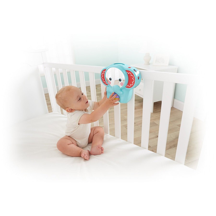 Fisher Price Deluxe Crib To Floor Mobile Shopee Singapore