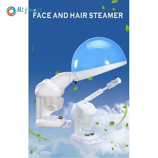 Mini Portable 2 IN 1 Hair Steamer Ozone Hair Steamer & Facial Steamer |  Shopee Singapore