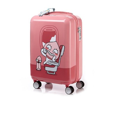 kakao luggage