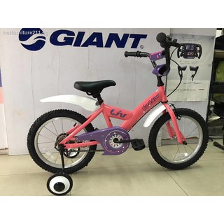 giant bike training wheels