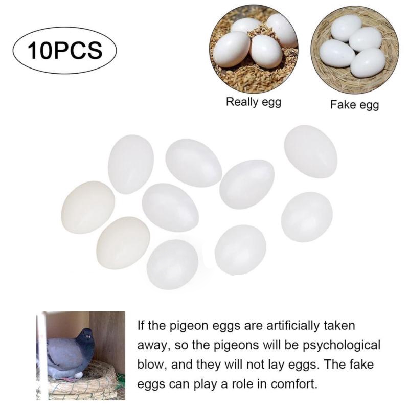 Fake Eggs Plastic Dummy Chicken Nesting Hen Hatching Parent-child communication 