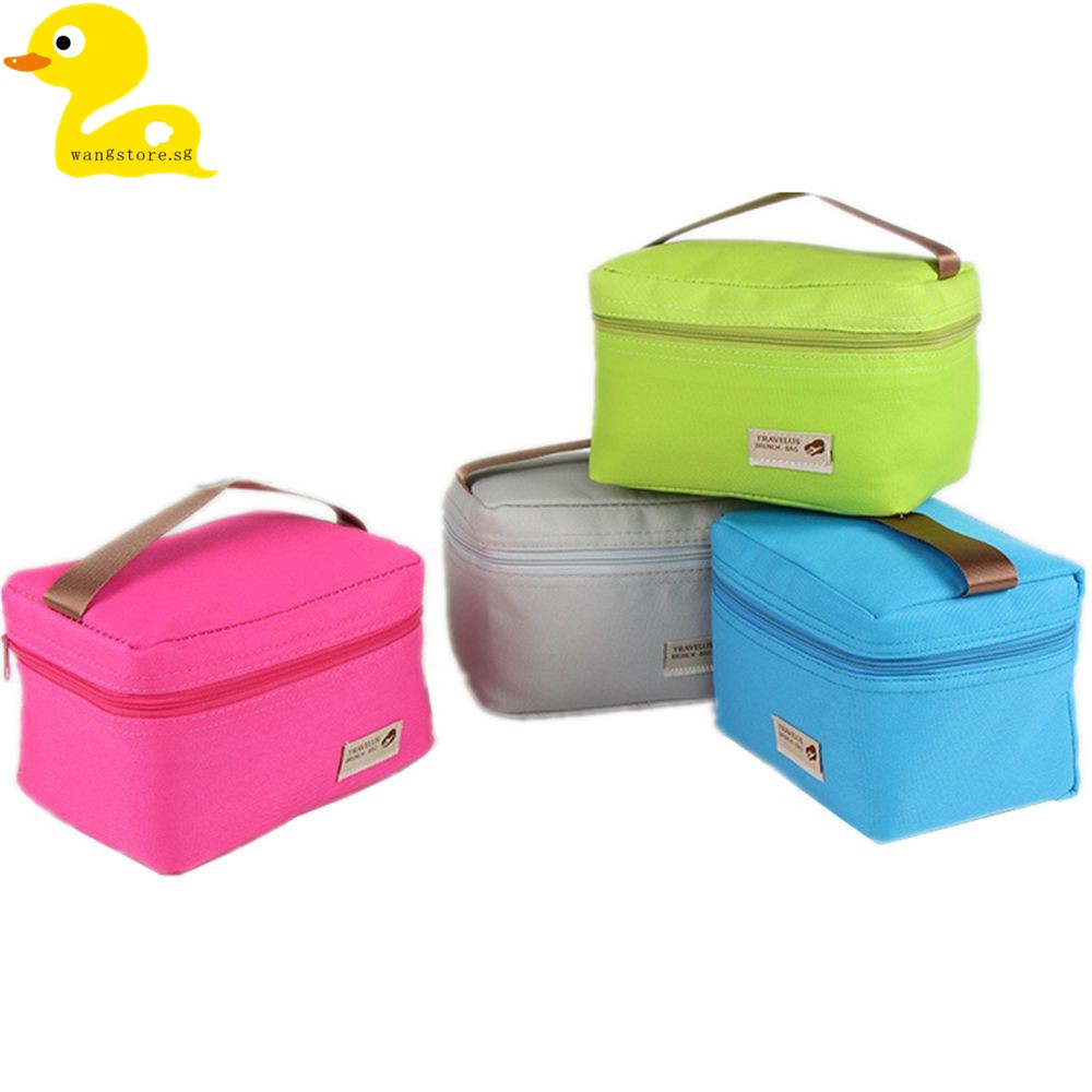 ice lunch bag
