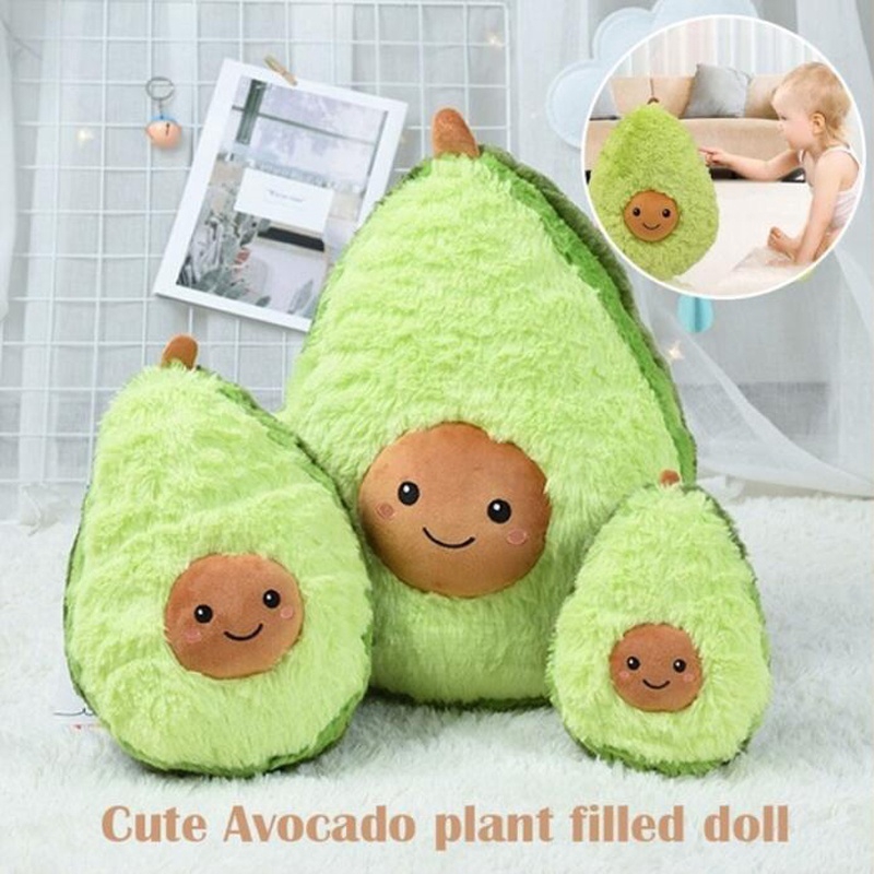 teddy avocado