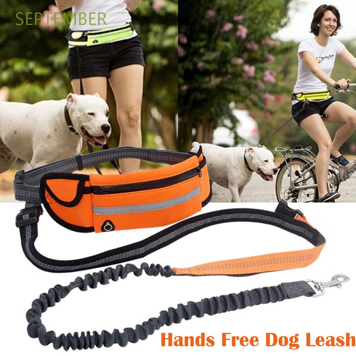 hands free safety dog leash