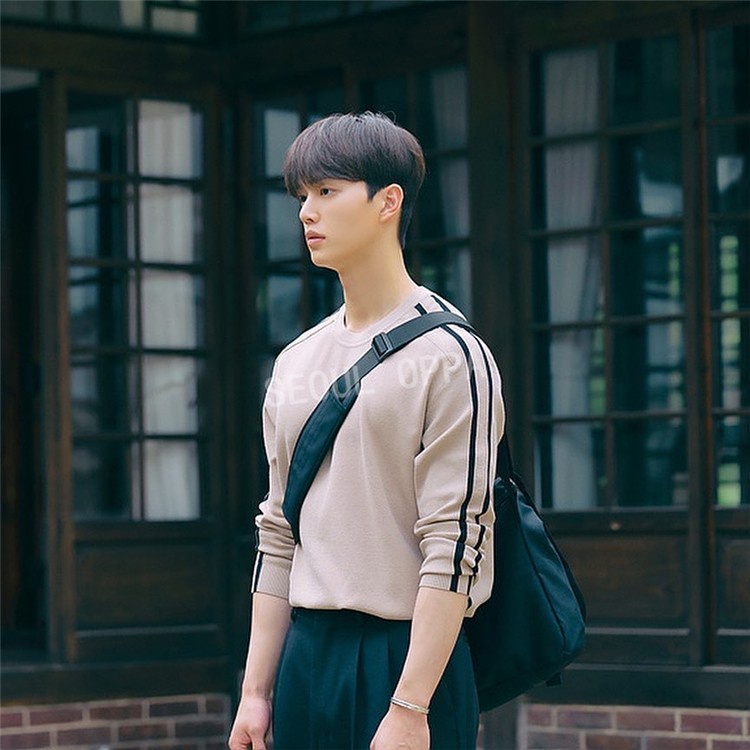 flutter premium messenger bag