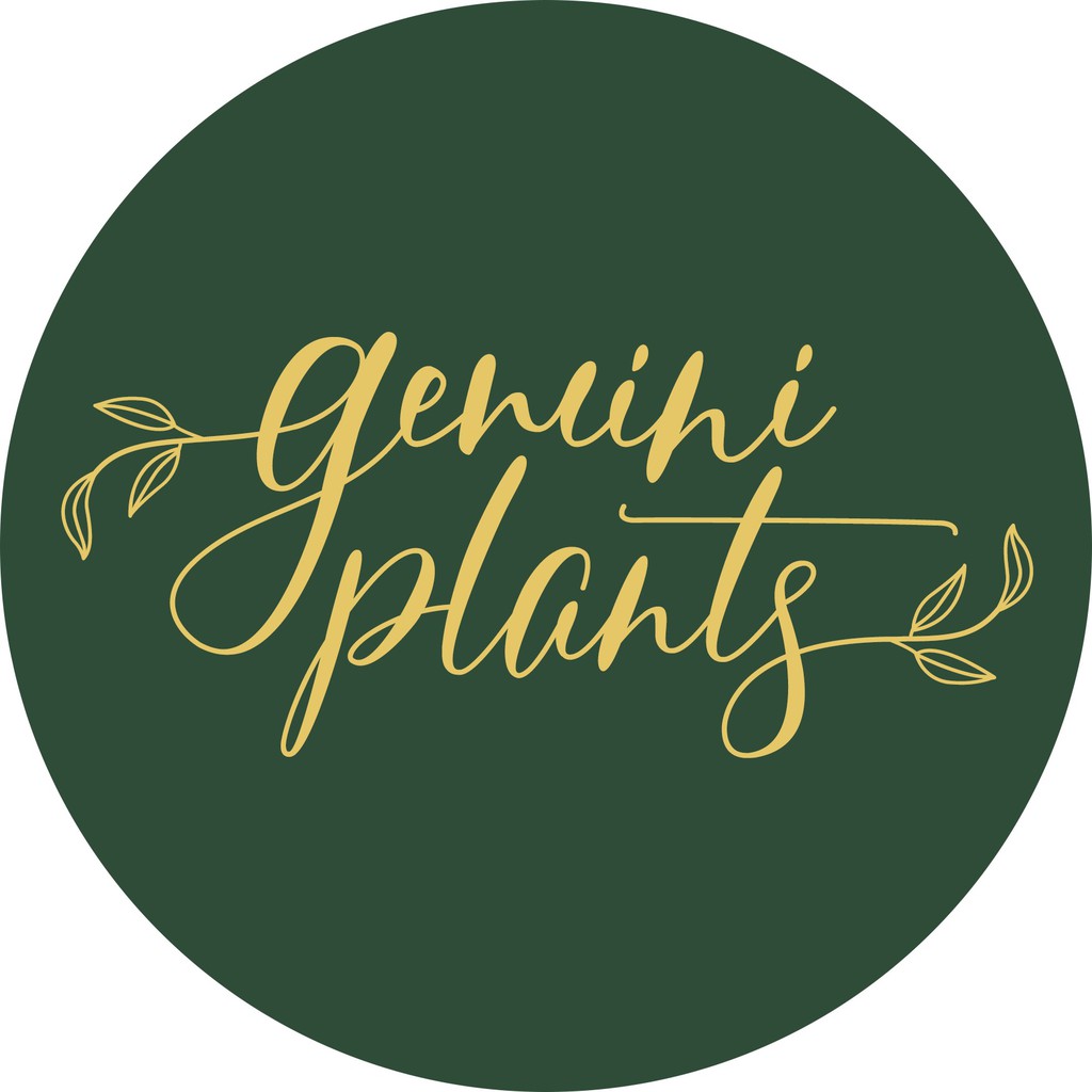 Gemini Plants, Online Shop Shopee Singapore