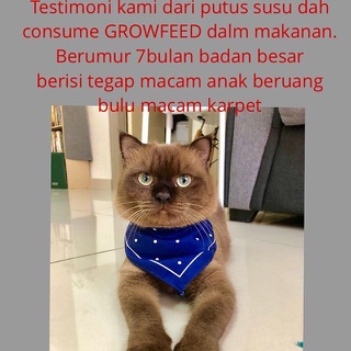 CAT LOVERS "Must Have"🌹GROWFEED E-TOX [Hilangkan Bau Najis 