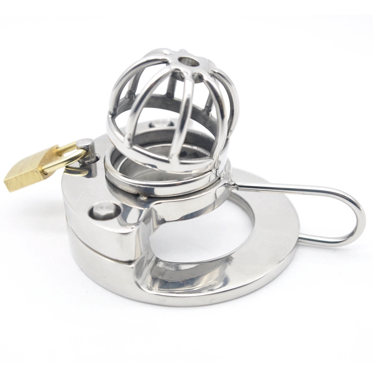 316l Stainless Steel Scrotal Restraint Weight Ring Pendant Penis Lock Jj Penis Chastity Lock 8879