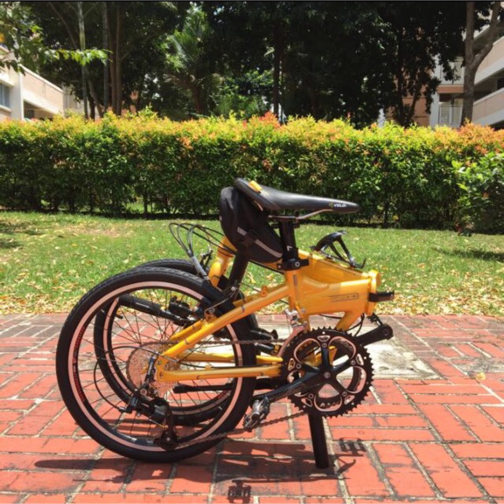 dahon mountain gold