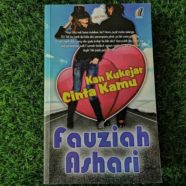 novel kan ku kejar cintamu