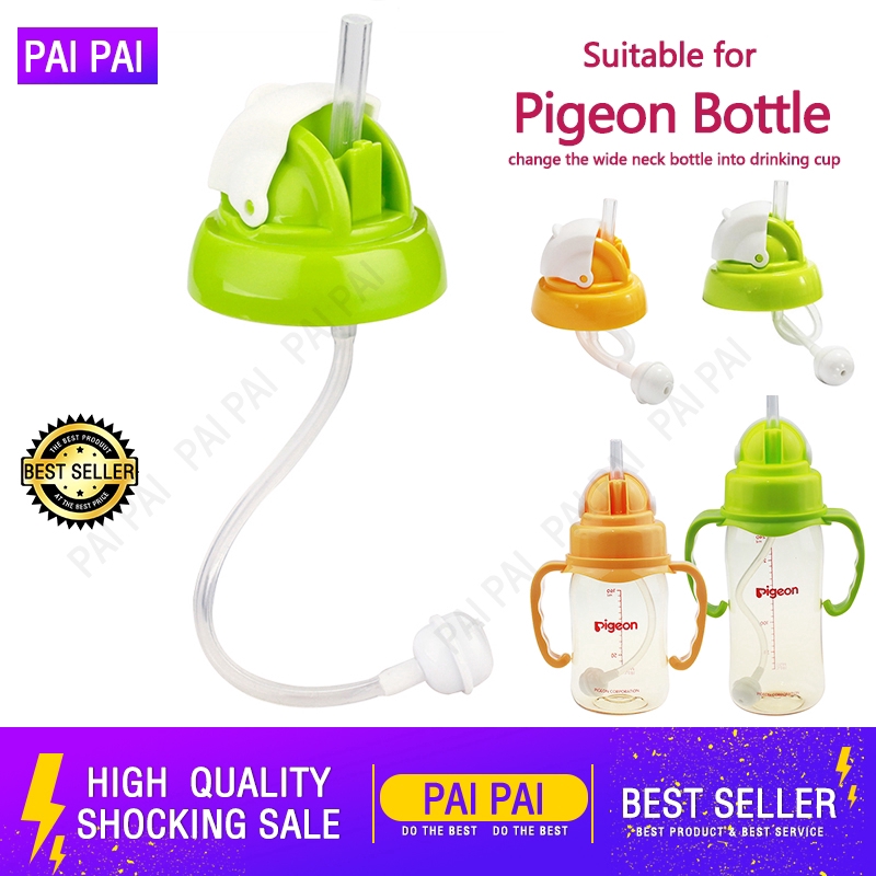 pigeon drinking bottle