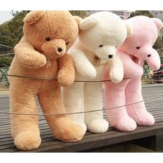 teddy bear besar