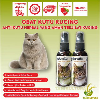 Cat Flea Medicine Spray Is Effective In Overcoming Lice And Fleas Eggs Spray Safe If Licked Kitten Cat