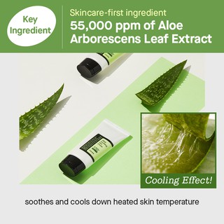 Image of thu nhỏ [COSRX OFFICIAL] Aloe Soothing Sun Cream SPF 50 PA+++ 50ml, Aloe Extract 5,500ppm, Mild Hydrating Sunscreen #3