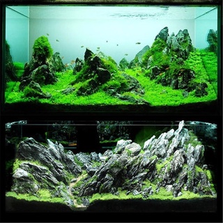 8100 Contoh Hardscape Aquarium HD Terbaik