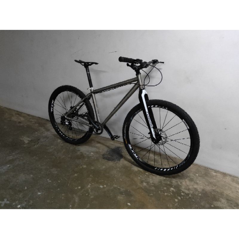 titanium hybrid bike