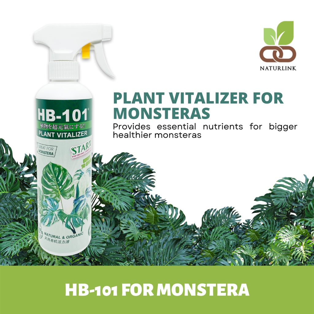 HB101 Plant Vitalizer Great for Monstera Ready to Spray (500ml) Fertiliser Fertilizer for