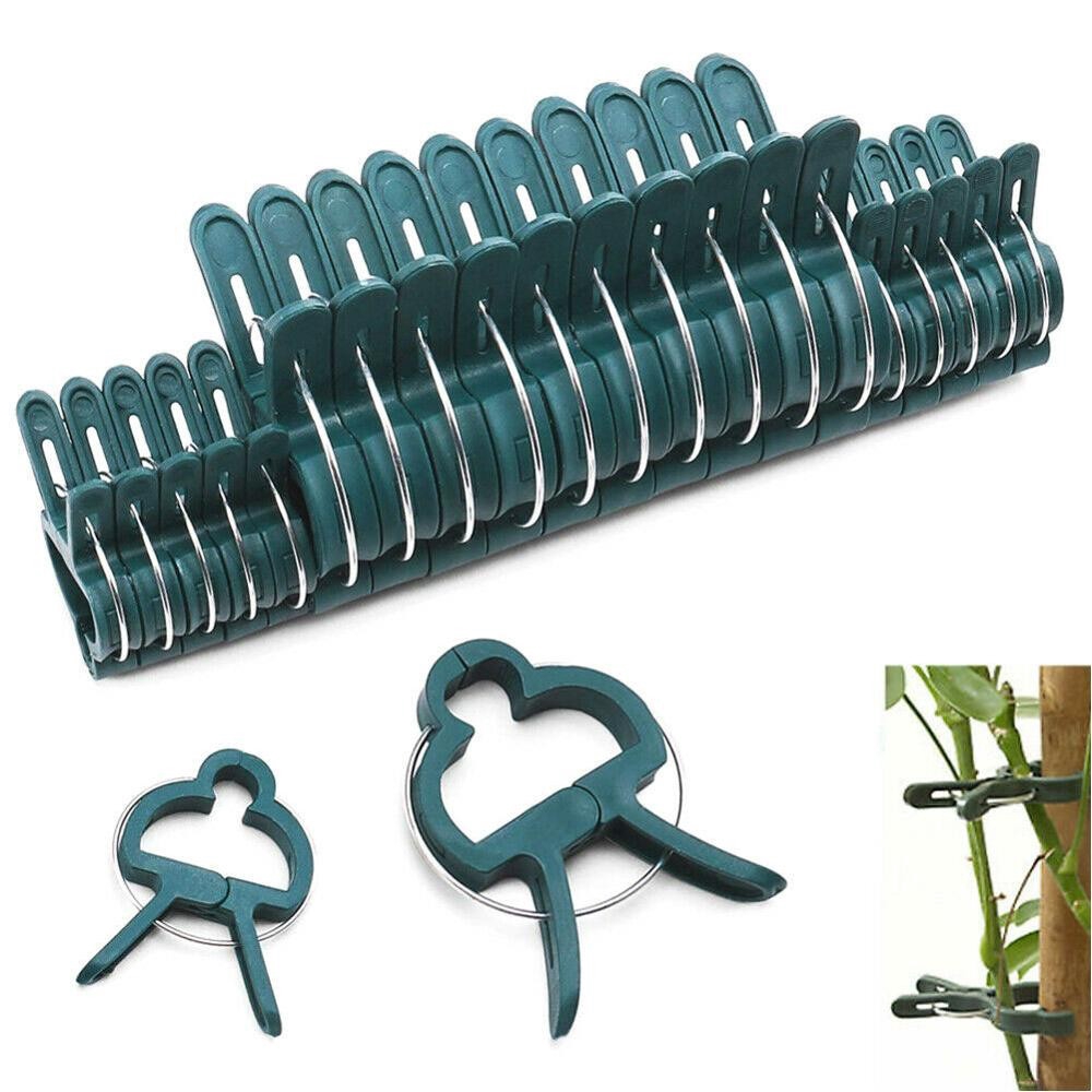 20Pcs Garden Plant Flower Lever Loop Gripper Clips / Support Straighten