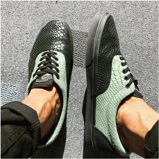 Slytherin Vans X Harry Potter Era Men Shoes Fashion Women Sneakers Original Authentic Shopee Singapore