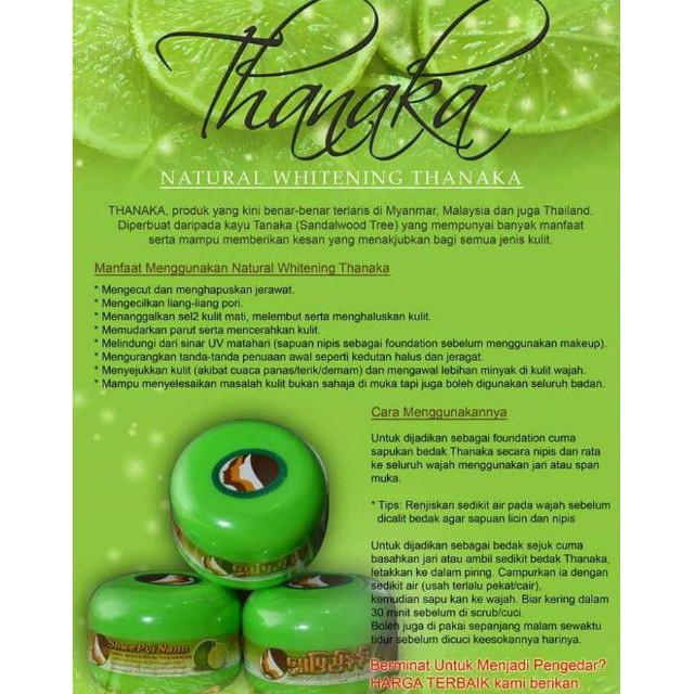 Thanaka Powder Breathable Bright Skin  Shopee Singapore