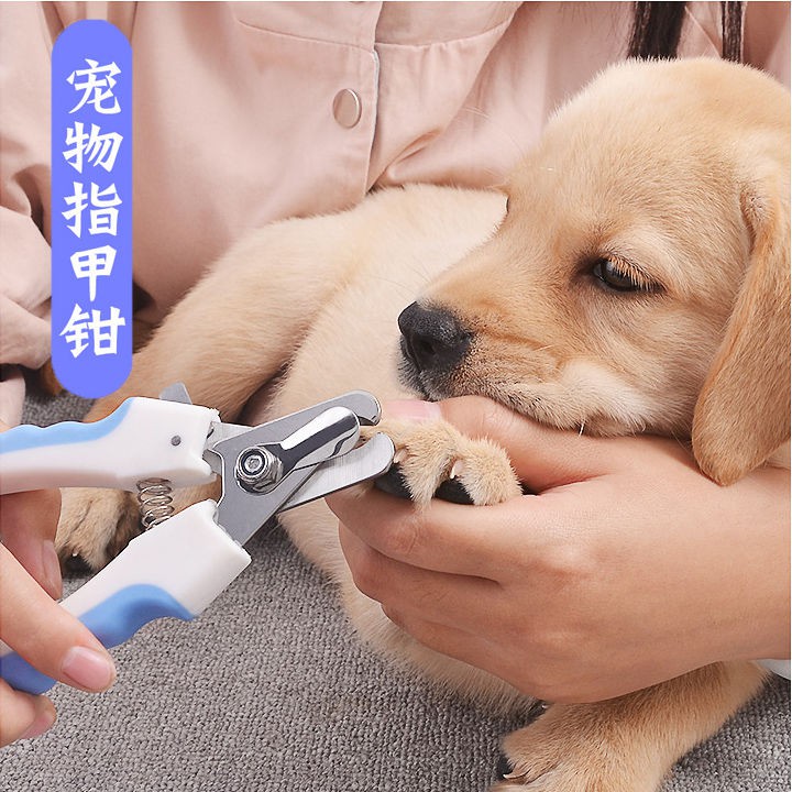 现货 Pet Nail Clippers 宠物狗狗指甲剪磨甲器狗狗剪指甲刀猫咪指甲剪神器指甲钳宠物用品 Huanhuanc Sg Shopee Singapore