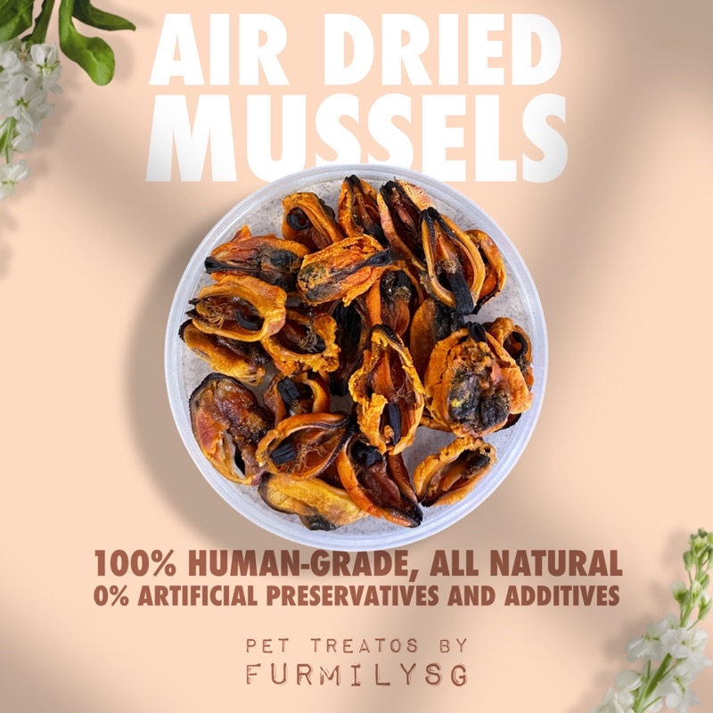 mussels Prices and Deals Dec 2022 Shopee Singapore