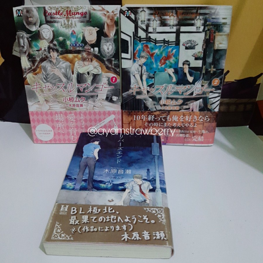 Ready Manga Yaoi Castle Mango Rivers End Novel Shopee Singapore