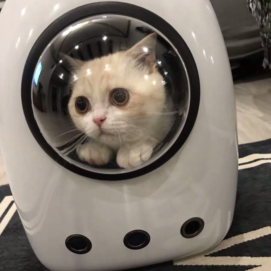 capsule cat carrier